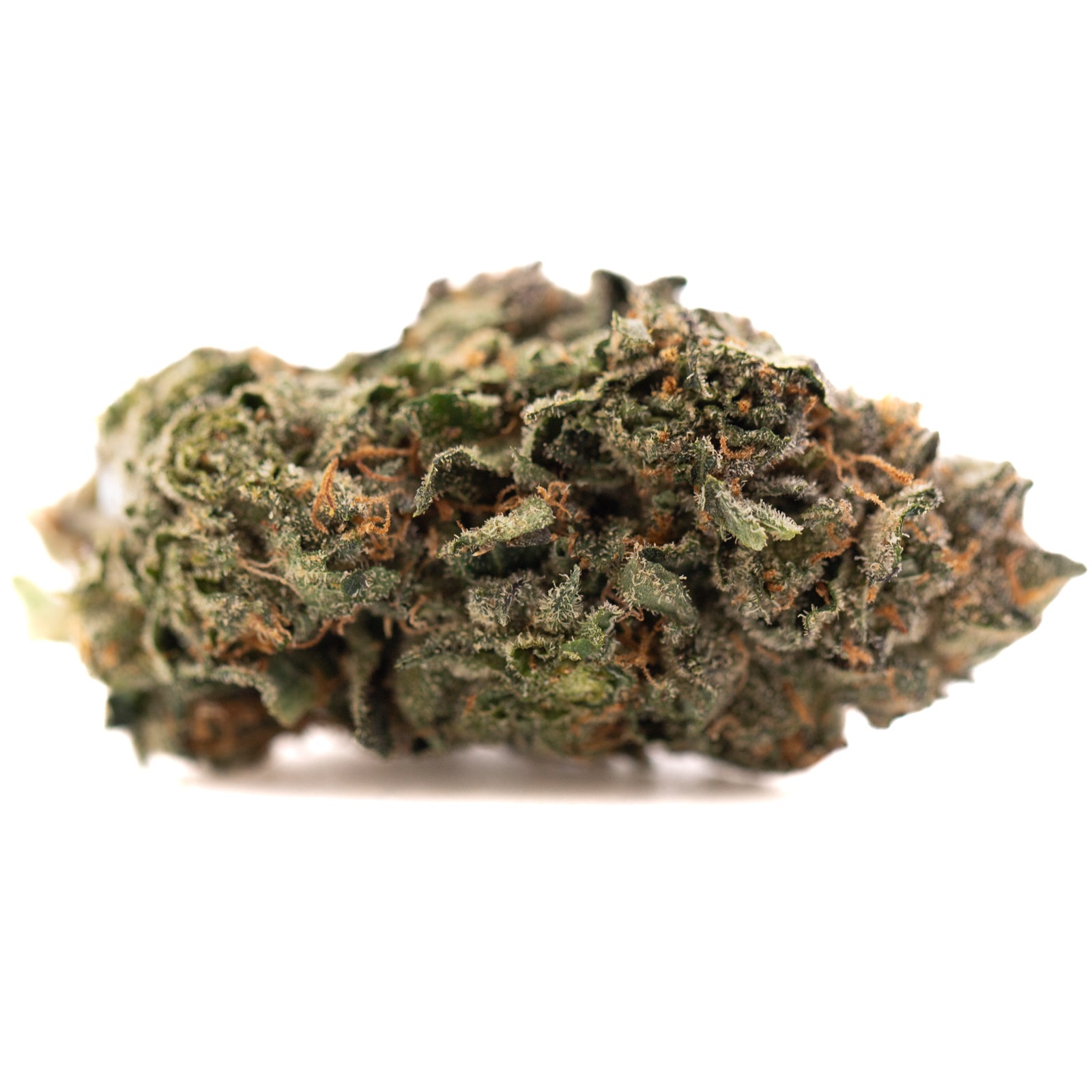 Dense trichome-covered Pressure #2 Indoor THCa Flower with orange pistils, ideal hemp flower or gary payton strain