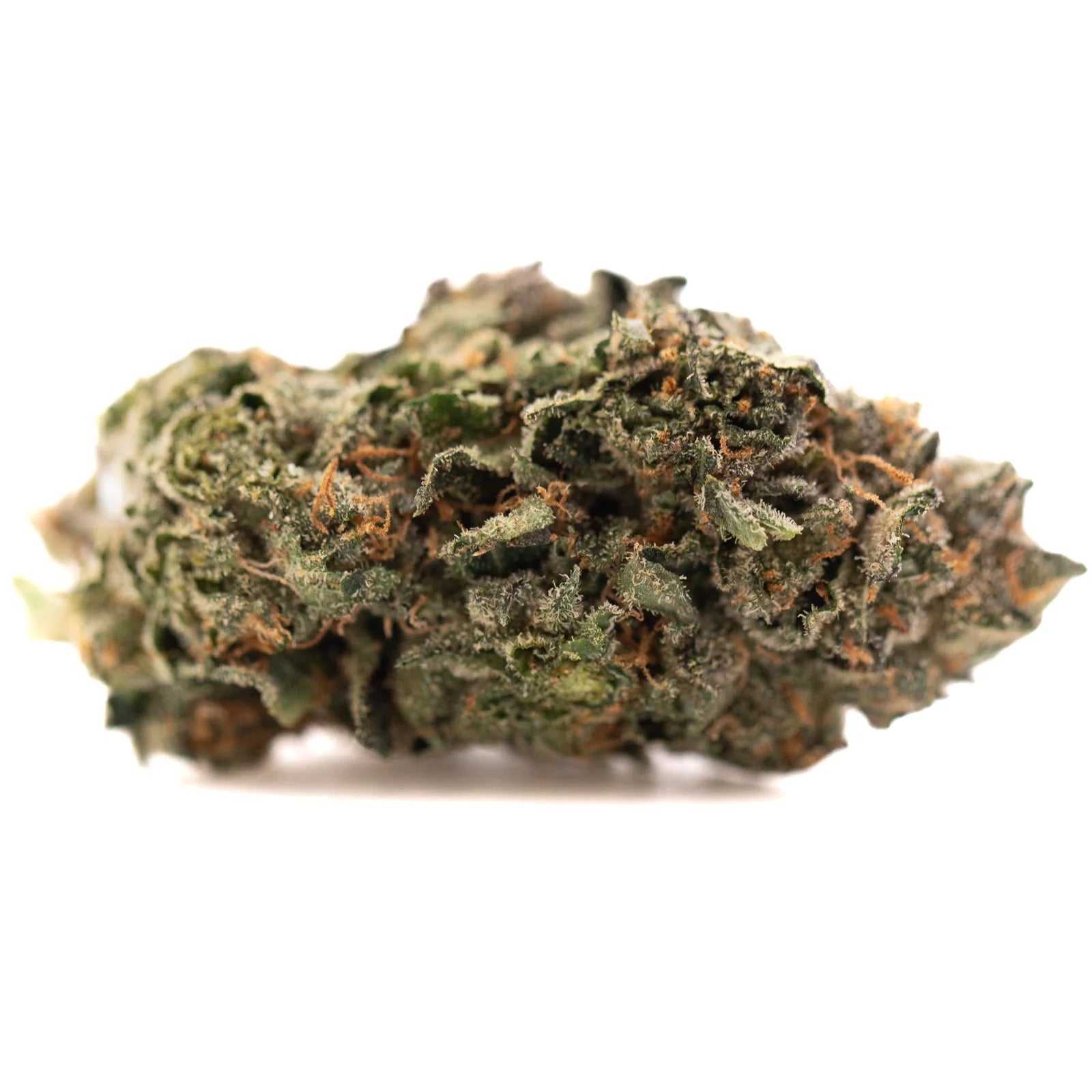 Dense trichome-covered Pressure #2 Indoor THCa Flower with orange pistils, ideal hemp flower or gary payton strain