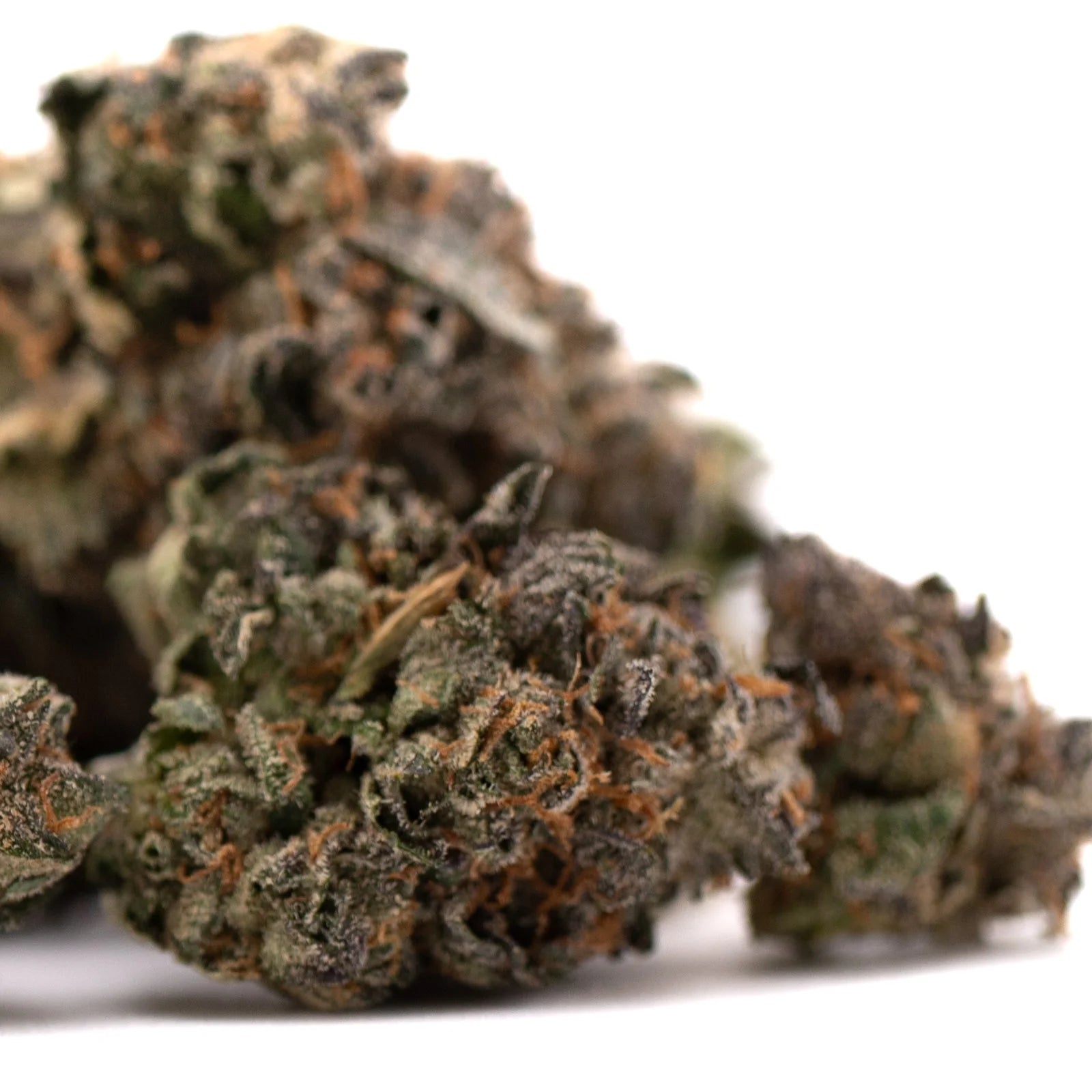 Dried cannabis buds with orange hairs and green-purple hues from Pressure #2 Indoor THCa Flower Wholesale