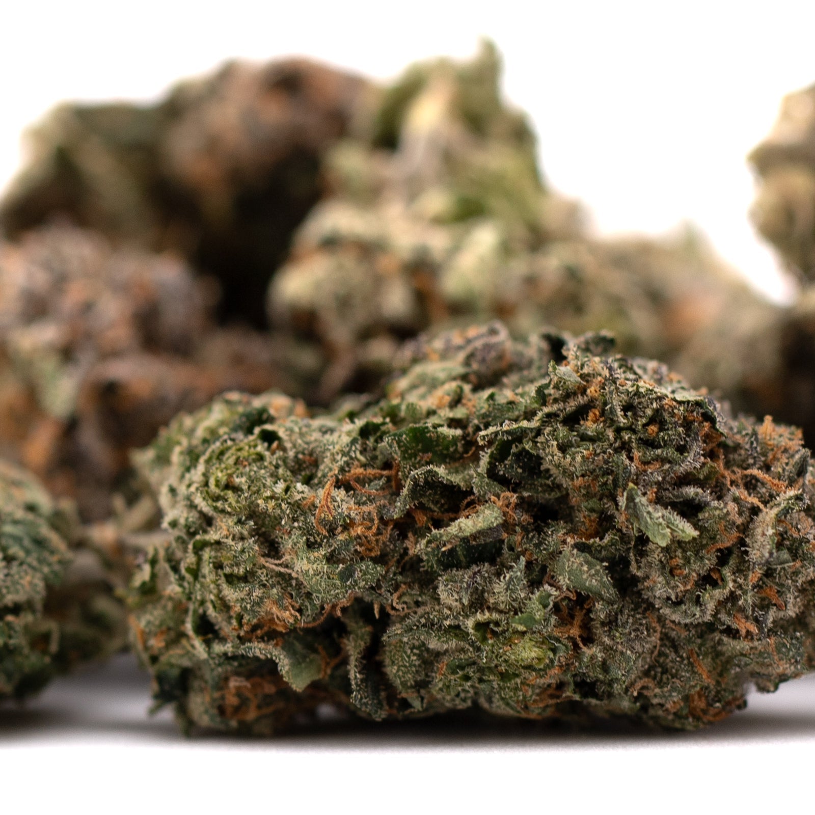 Dried hemp flower with trichomes and orange pistils from Pressure #2 Indoor THCa Flower Wholesale featuring Gary Payton strain