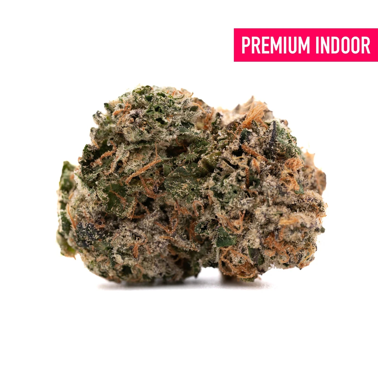 Pressure Indoor THCa Flower - Plants