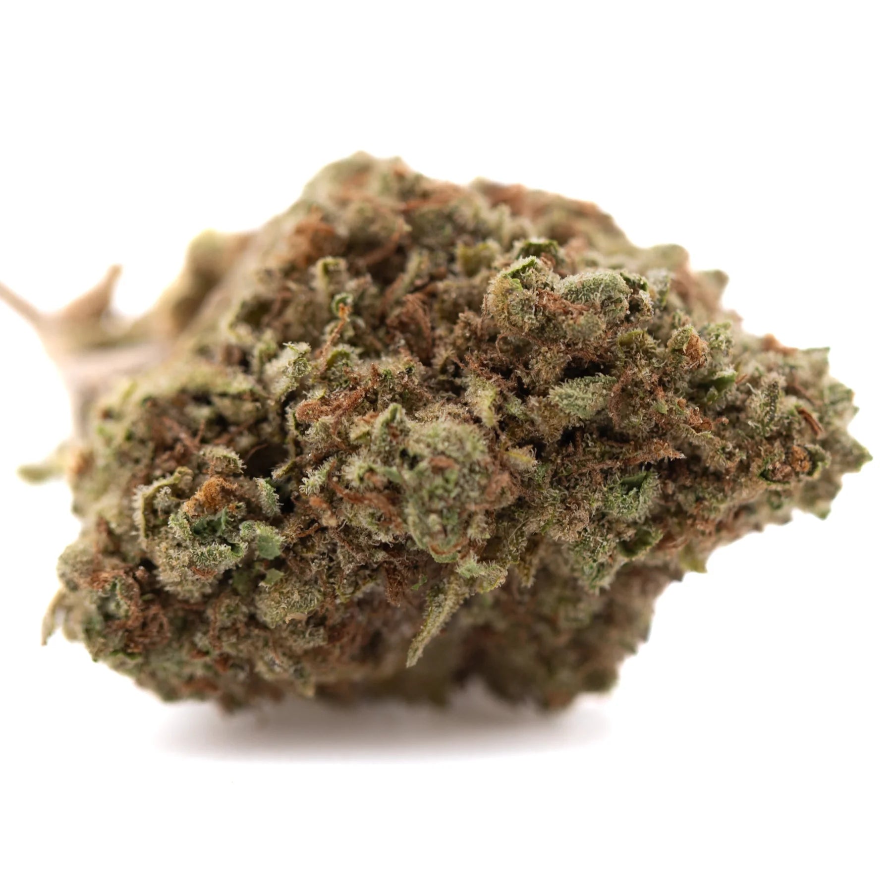 Pure kush’s greenhouse thca flower dense green and brown cannabis bud covered in fine trichomes with kush genetics