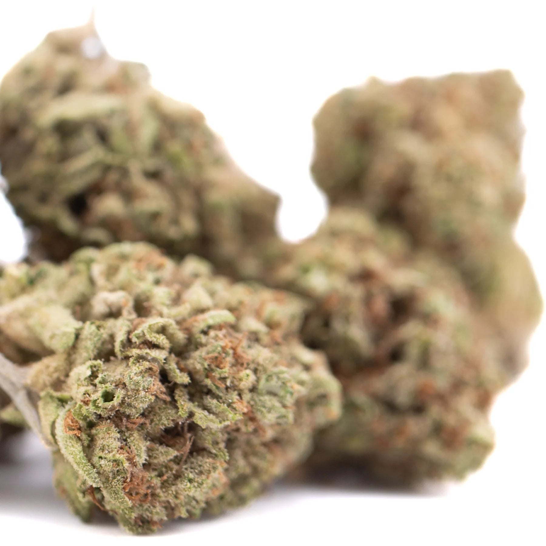 Green and brown dense frosty pure kush’s greenhouse thca flower showcasing kush genetics hemp buds