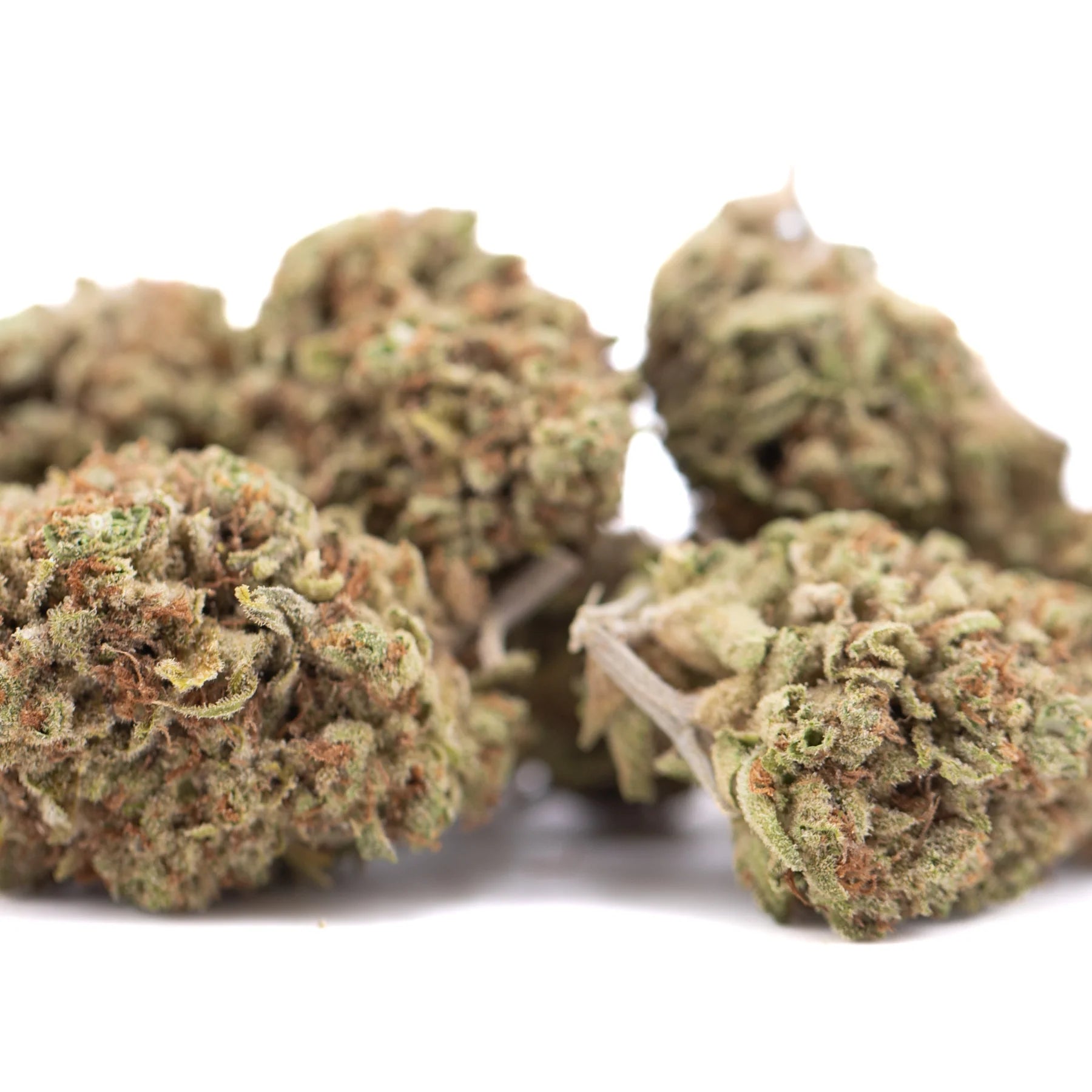 Pure kushs greenhouse thca flower dense green and orange-hued kush genetics hemp buds with textured surface