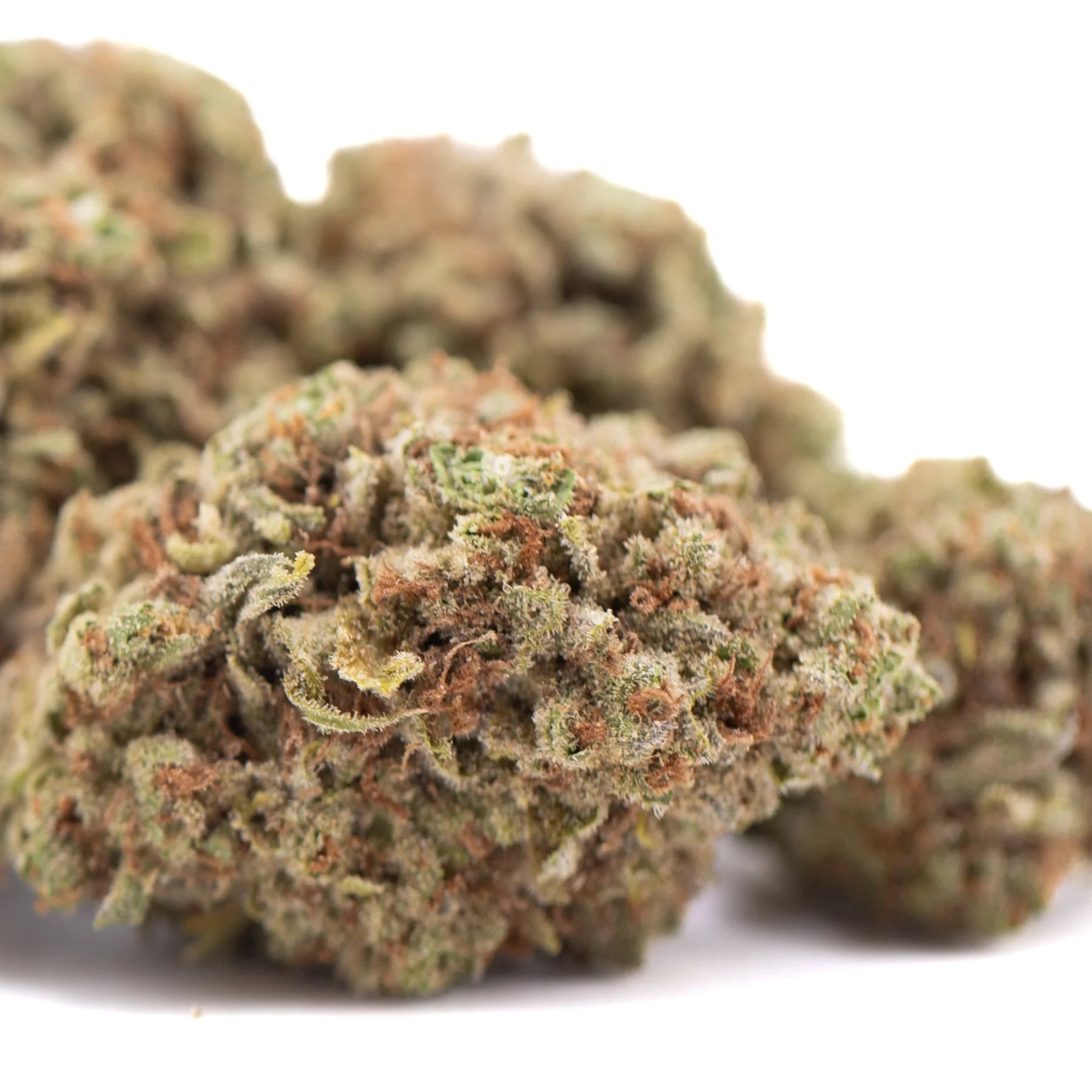 Lush dense pure kush’s greenhouse thca flower with kush genetics in green and brown hues covered in fine trichomes