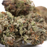Premium Pure Michigan THCa hemp flower bud with dense green and purple trichomes