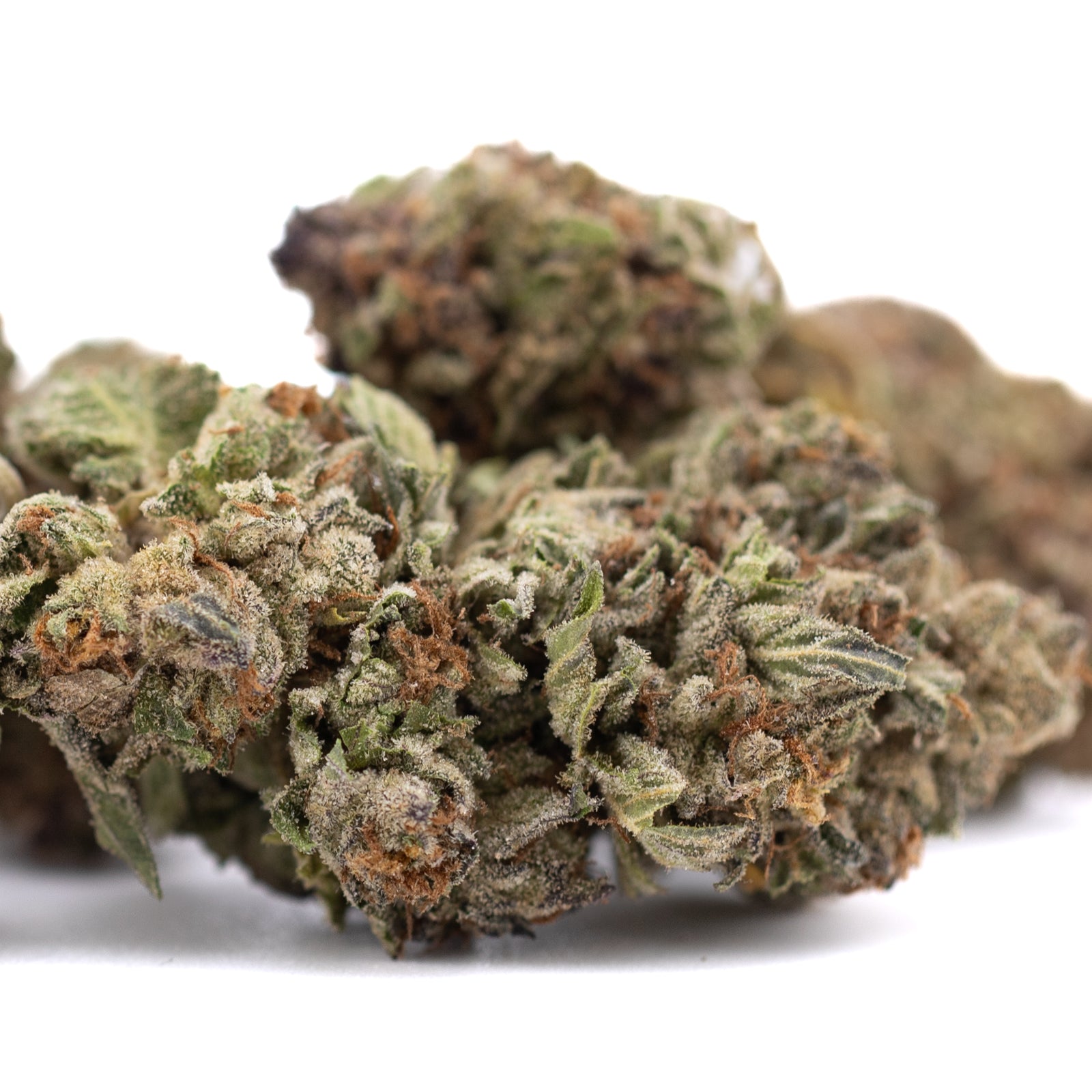 Pure Michigan THCa hemp flower bud with orange trichomes