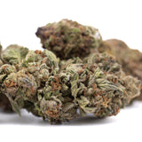 Pure Michigan THCa hemp flower bud with orange trichomes