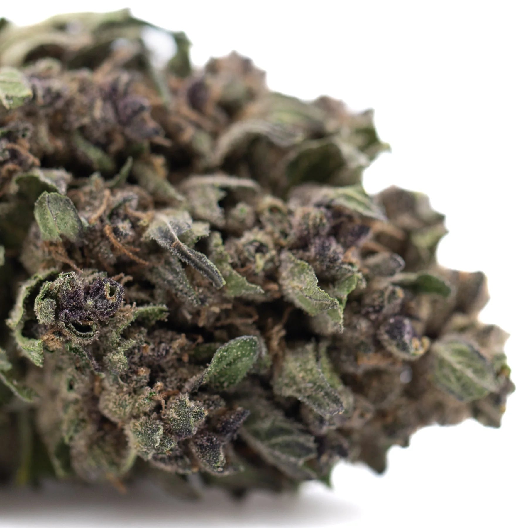 A dense frosty purple daiquiri hemp flower bud with green and purplish hues resembling grape pie strain