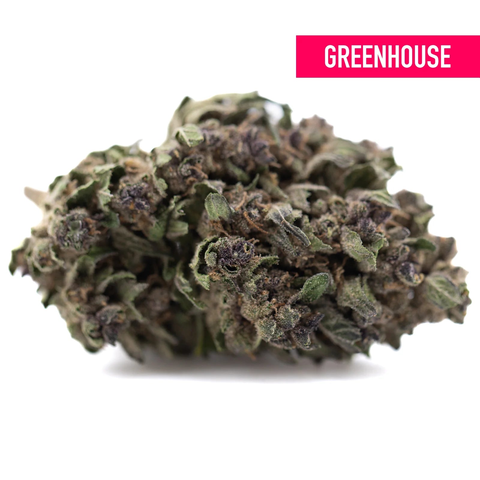 Dense green and purple-tinged purple daiquiri hemp flower with frosty texture resembling grape pie cannabis bud