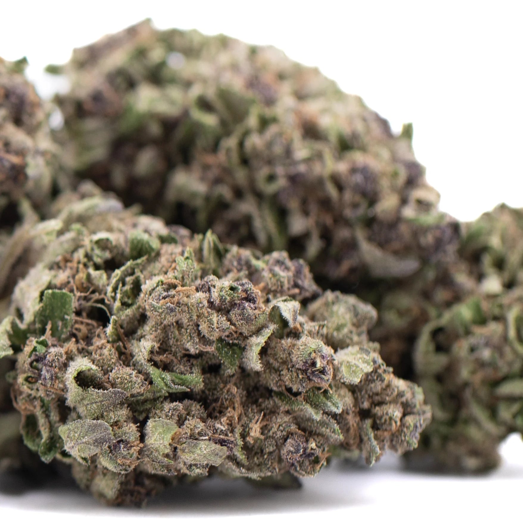 Purple daiquiri hemp flower dense resinous bud with green and purplish hues covered in fine trichomes from grape pie strain