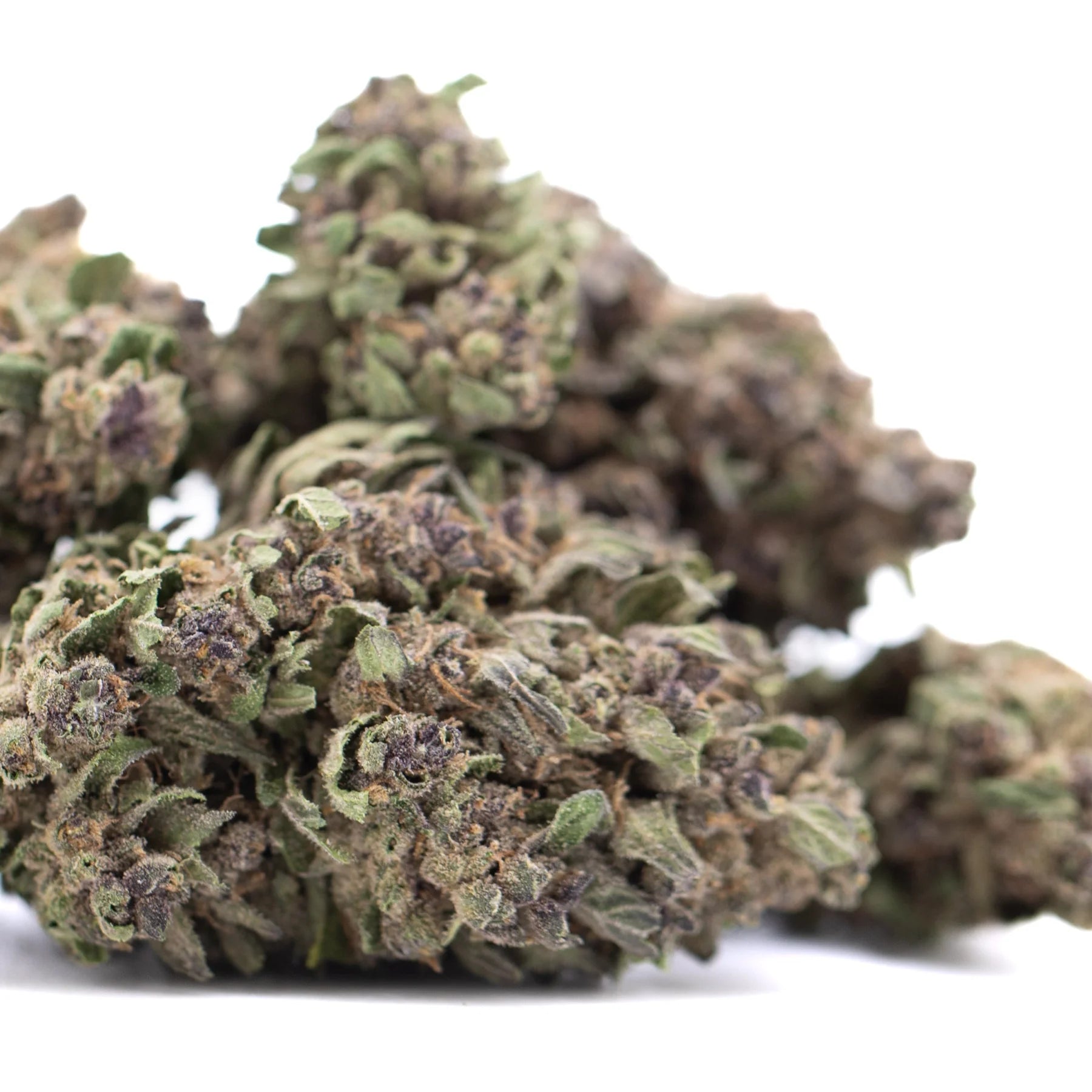 A pile of purple daiquiri hemp flower buds with green purple and brown hues rich in thca and grape pie notes