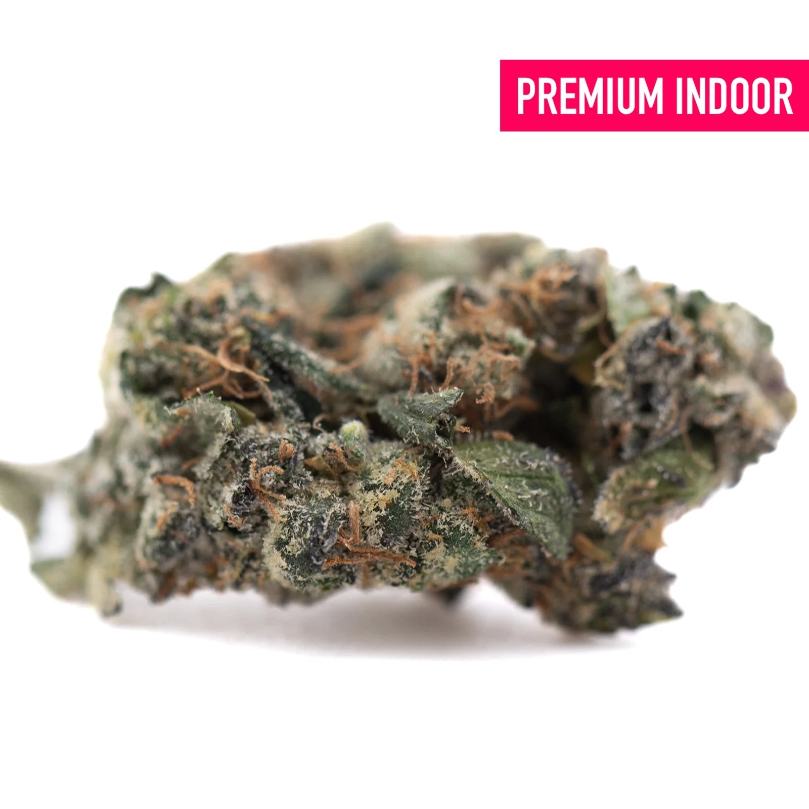 Purple daiquiri indoor thca hemp flower showing dense green and brown bud with frosty white trichomes like grape pie