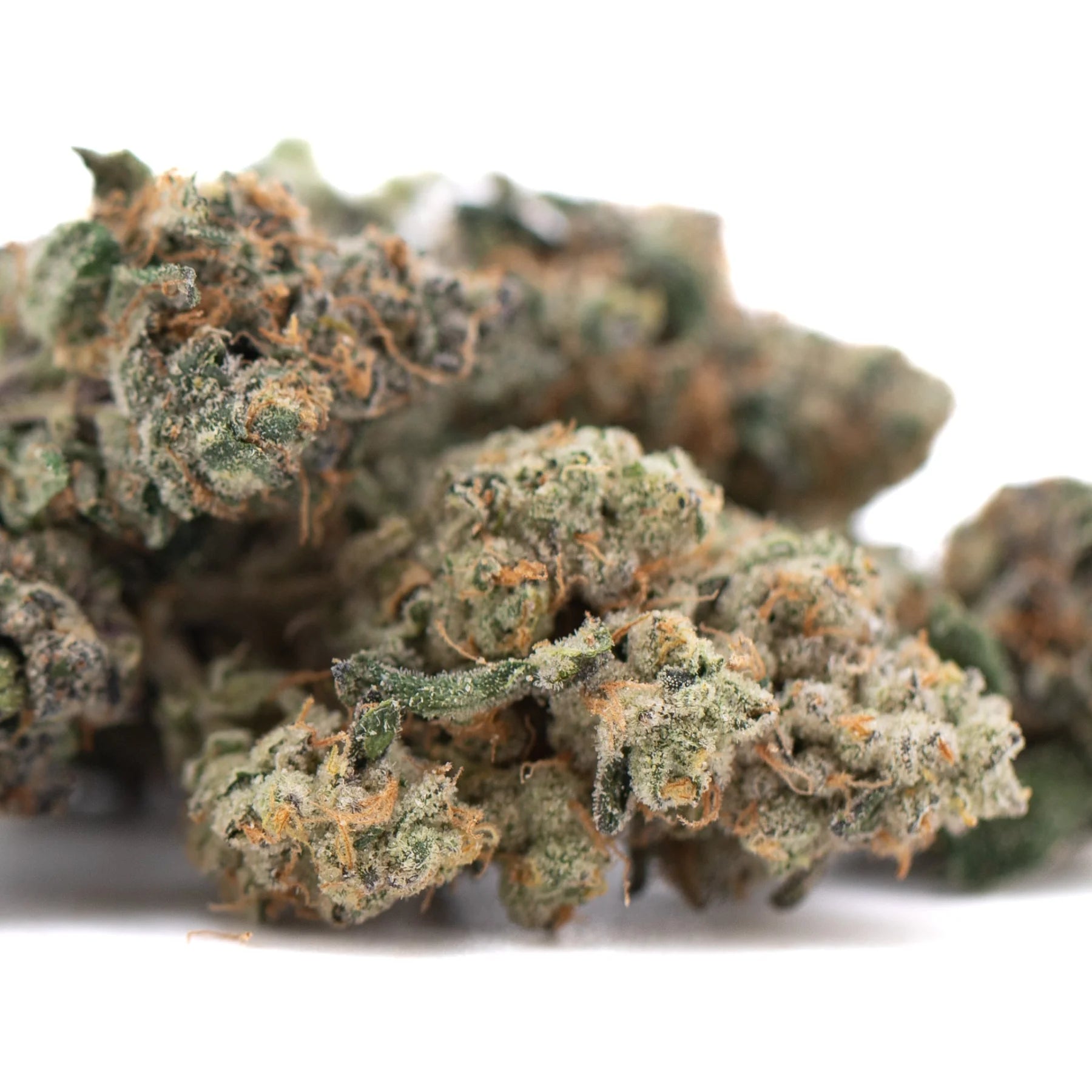 Purple daiquiri indoor thc flower with dense green and orange hues and frosty white trichome coating hemp flower