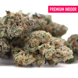 Premium indoor purple daquri thca flower wholesale with dense green and orange trichomes similar to mint gsc buds
