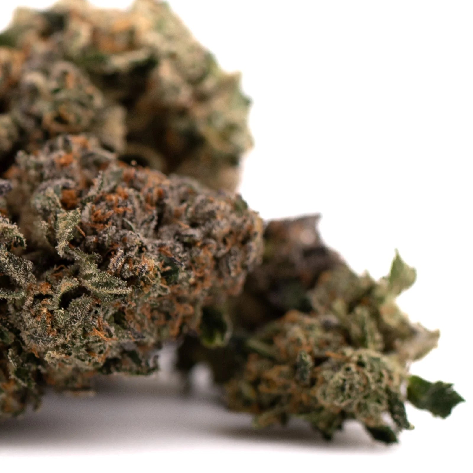 Dried Purple Lemon Cake THCa Flower with orange hairs and trichomes indoor cannabis