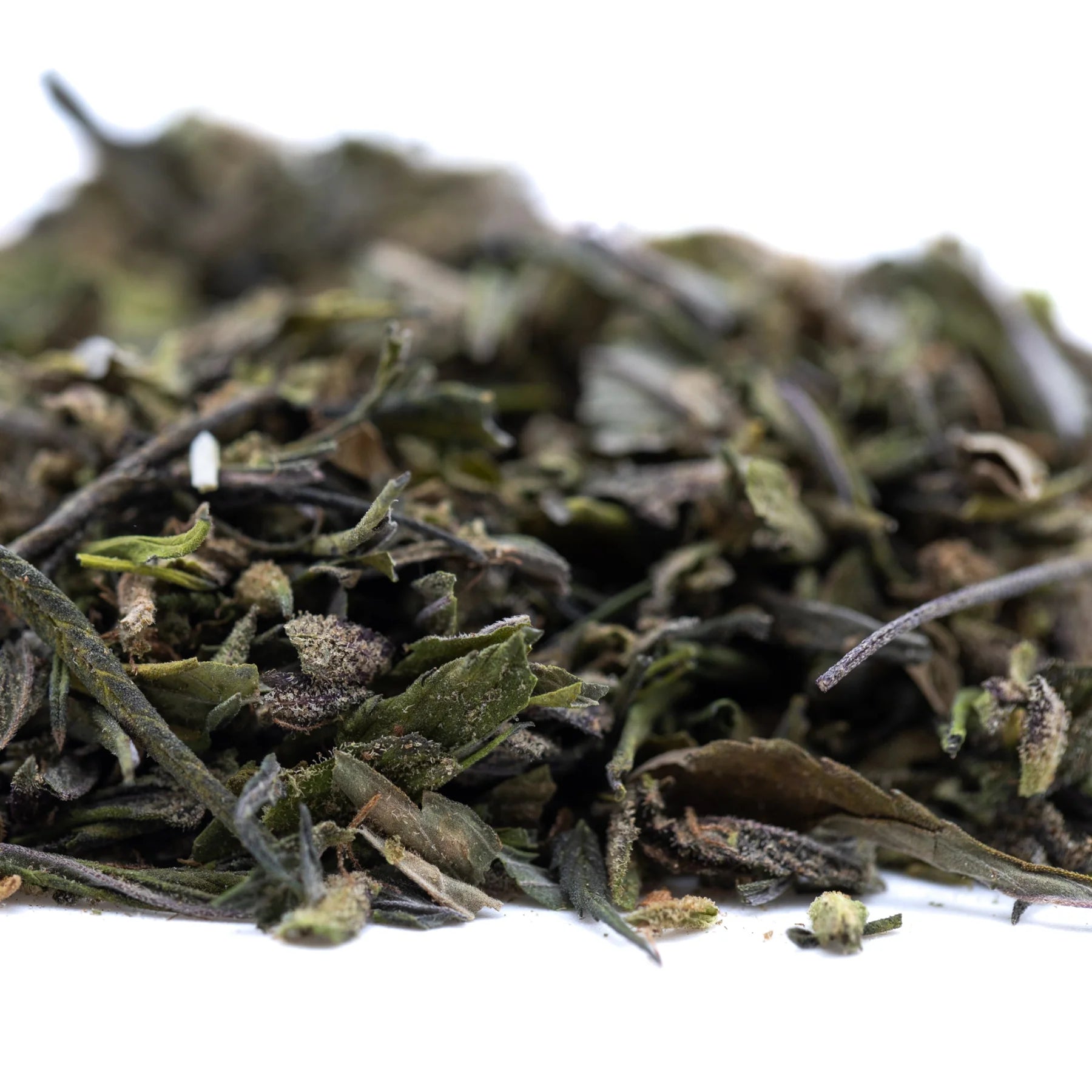 A pile of dried green tea leaves with delicate stems and curled edges in premium greenhouse purple marmalade thca trim
