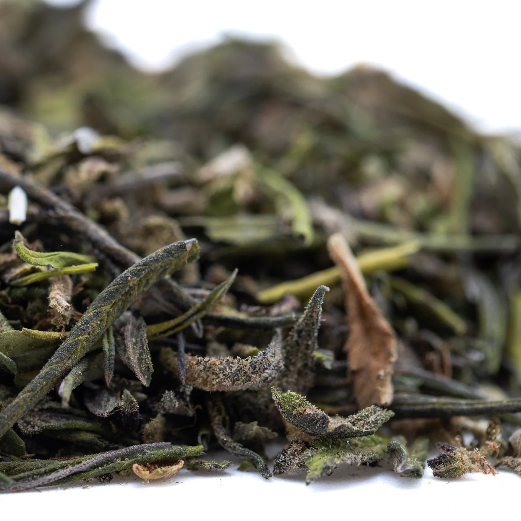 A pile of dried green tea leaves in dark and light shades with brown hints from purple marmalade greenhouse thca trim wholesale