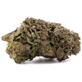 Premium Purple Marmalade THCa hemp flower bud with dense trichomes