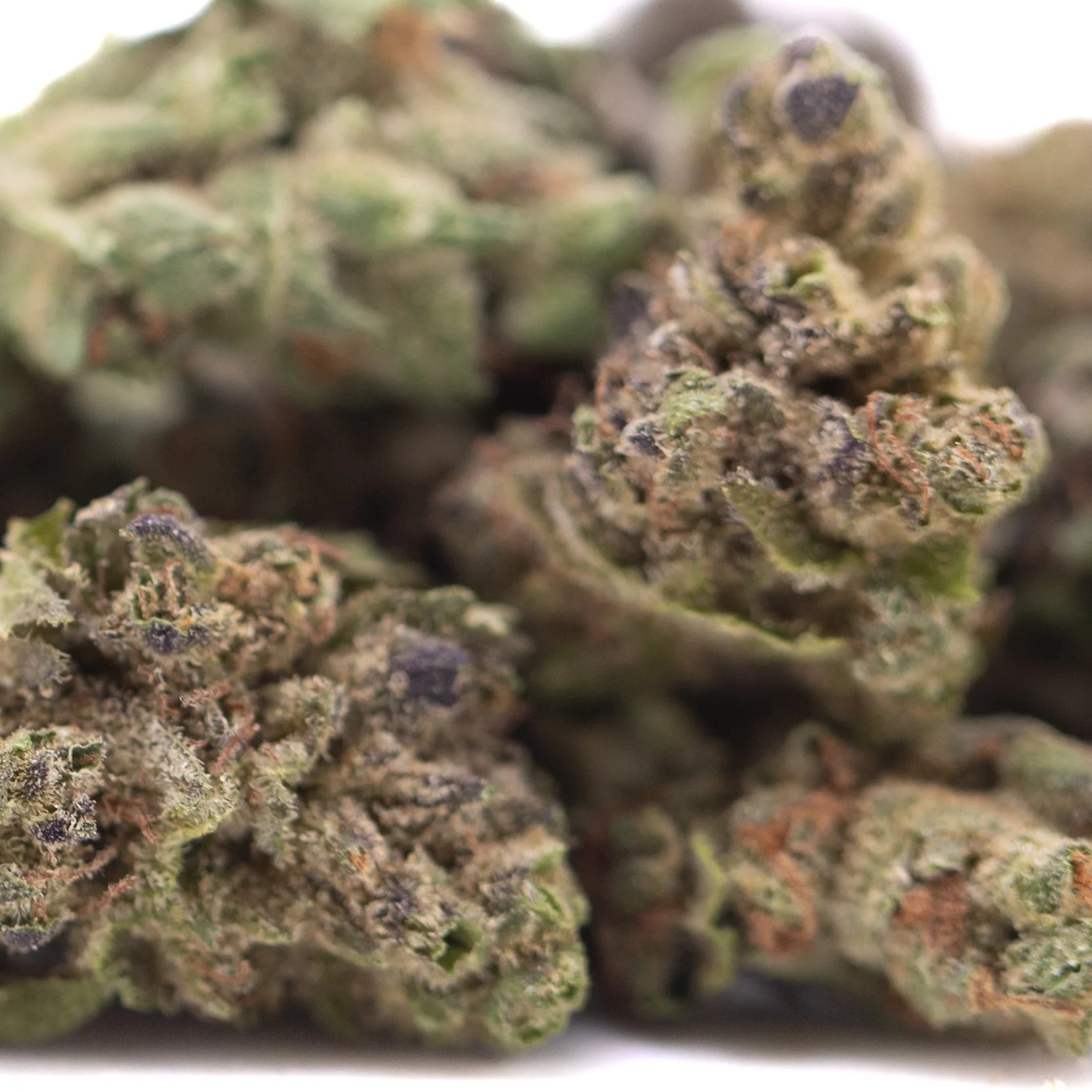 Purple marmalade thca hemp flower greenhouse smalls showing green and purple dense frosty buds with sugary honey scent