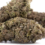 Premium Purple Marmalade THCa hemp flower bud with white trichomes