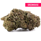 Premium Purple Marmalade THCa hemp flower bud with dense trichomes