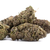 Premium Purple Marmalade THCa hemp flower bud with dense trichomes