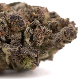 Purple Mountain Majesty THCa hemp flower bud with trichomes