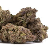 Purple Mountain Majesty THCa hemp flower bud with green hues and trichomes
