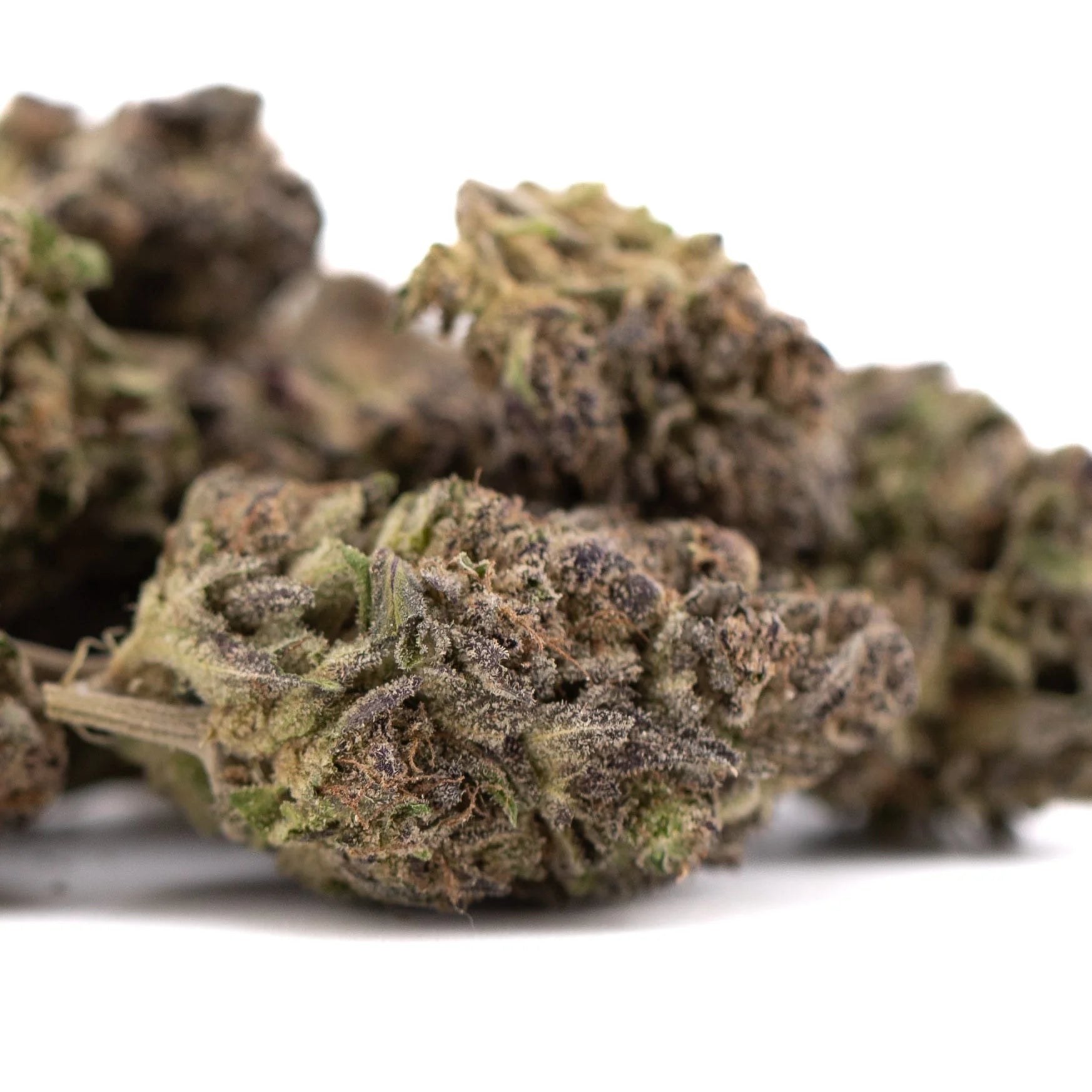 Premium Purple Mountain Majesty THCa hemp flower bud with trichomes