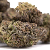 Purple Mountain Majesty THCa hemp flower bud with purple green hues and trichomes