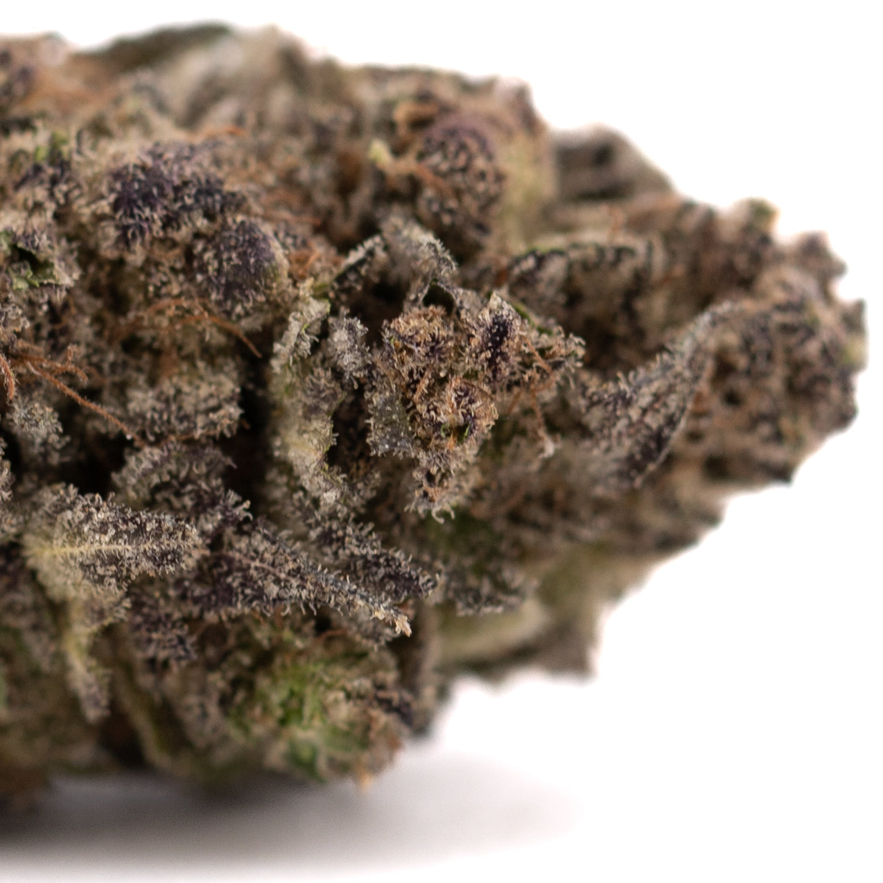 Premium Purple Mountain Majesty THCa hemp flower bud with purple hues and trichomes