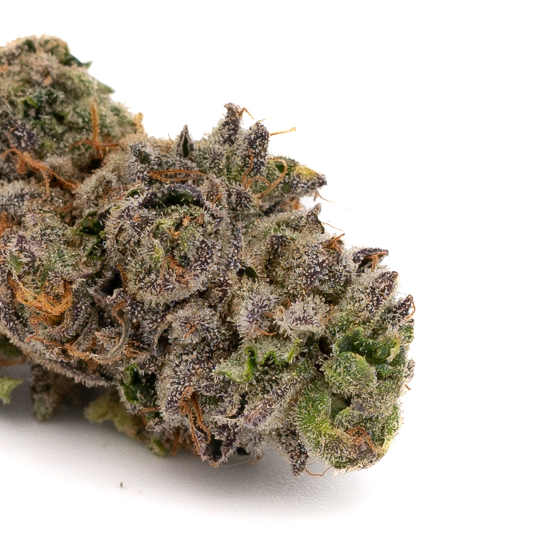 Purple Octane Indoor THCa Flower - 5g - Plants