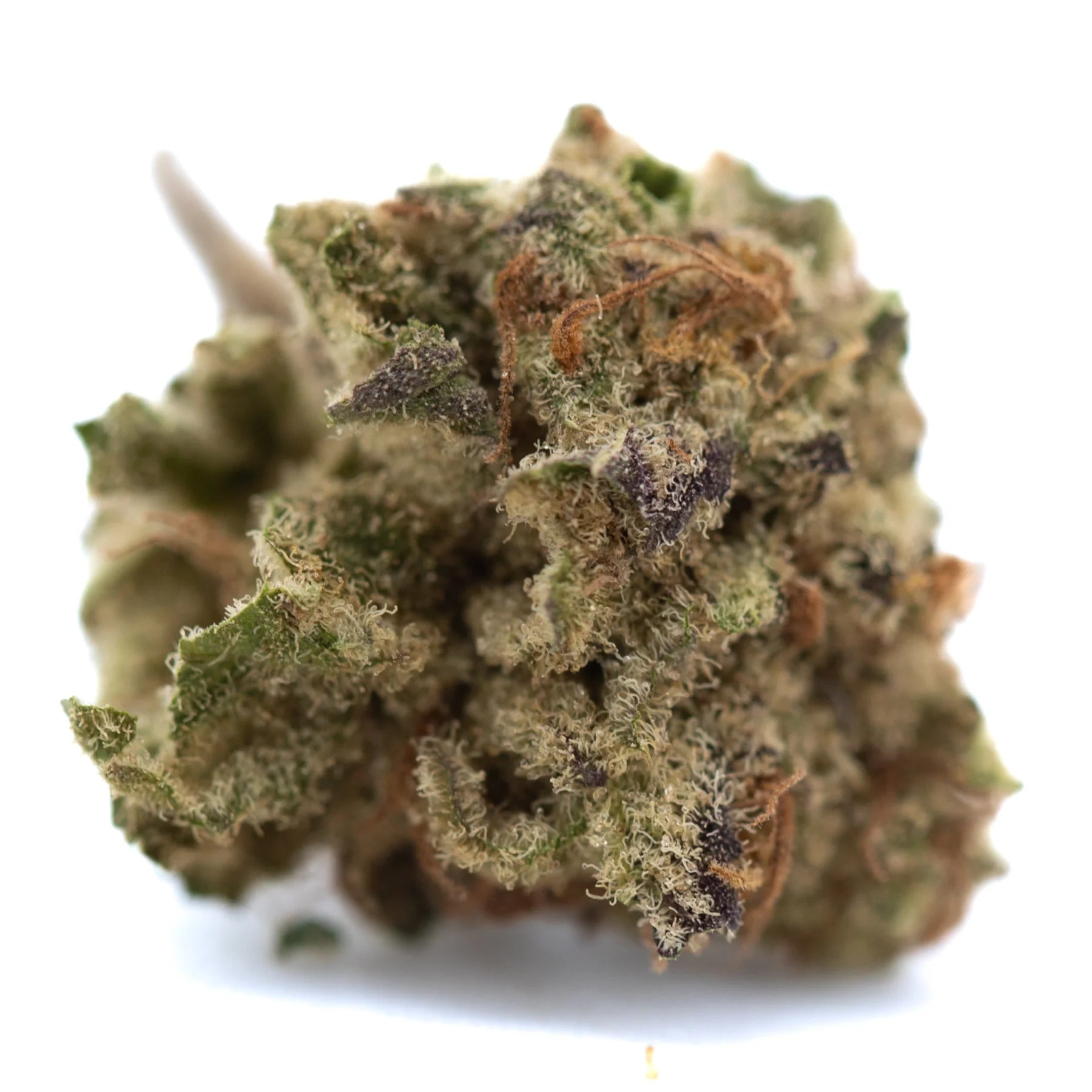 A dense green purple pop rocks hemp flower bud with fuzzy texture and orange and purple trichomes from greenhouse smalls