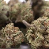 Lush dense purple pop rocks hemp flower buds with green orange hues and white trichomes greenhouse smalls
