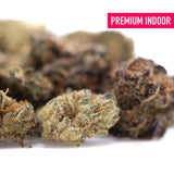 Premium indoor purple punch thca flower smalls with dense frosty green and orange trichomes for thca indoor hemp use