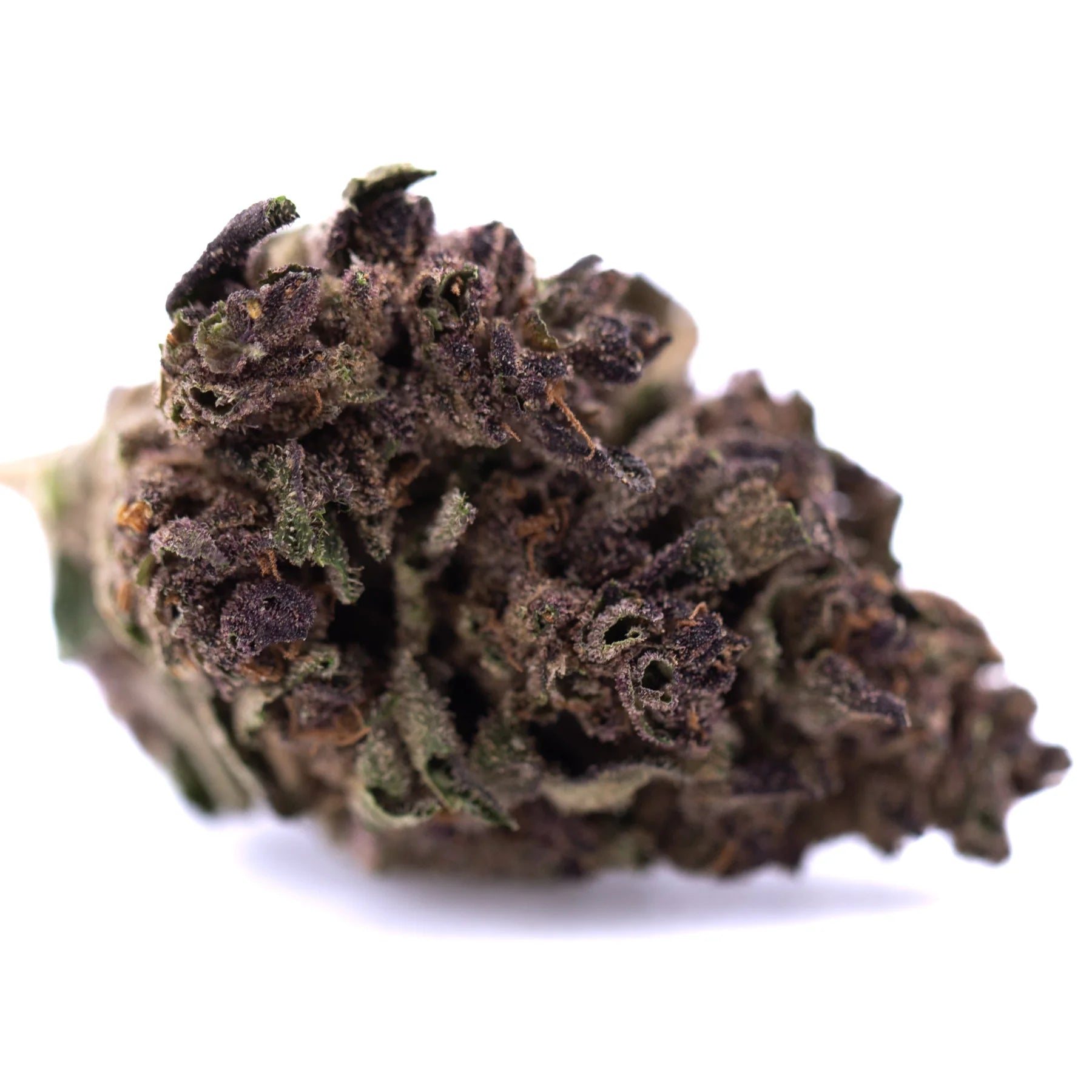 A dense dark purple and green purple queen’s greenhouse thca flower bud rich in total cannabinoid trichomes