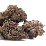 Dried purple queen’s greenhouse thca flower with dense green and brown buds rich in total cannabinoid content