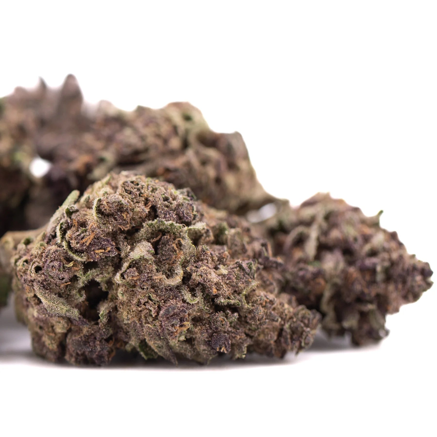 Dense textured purple queen’s greenhouse thca flower cannabis bud with dark brown and green hues and high total cannabinoid
