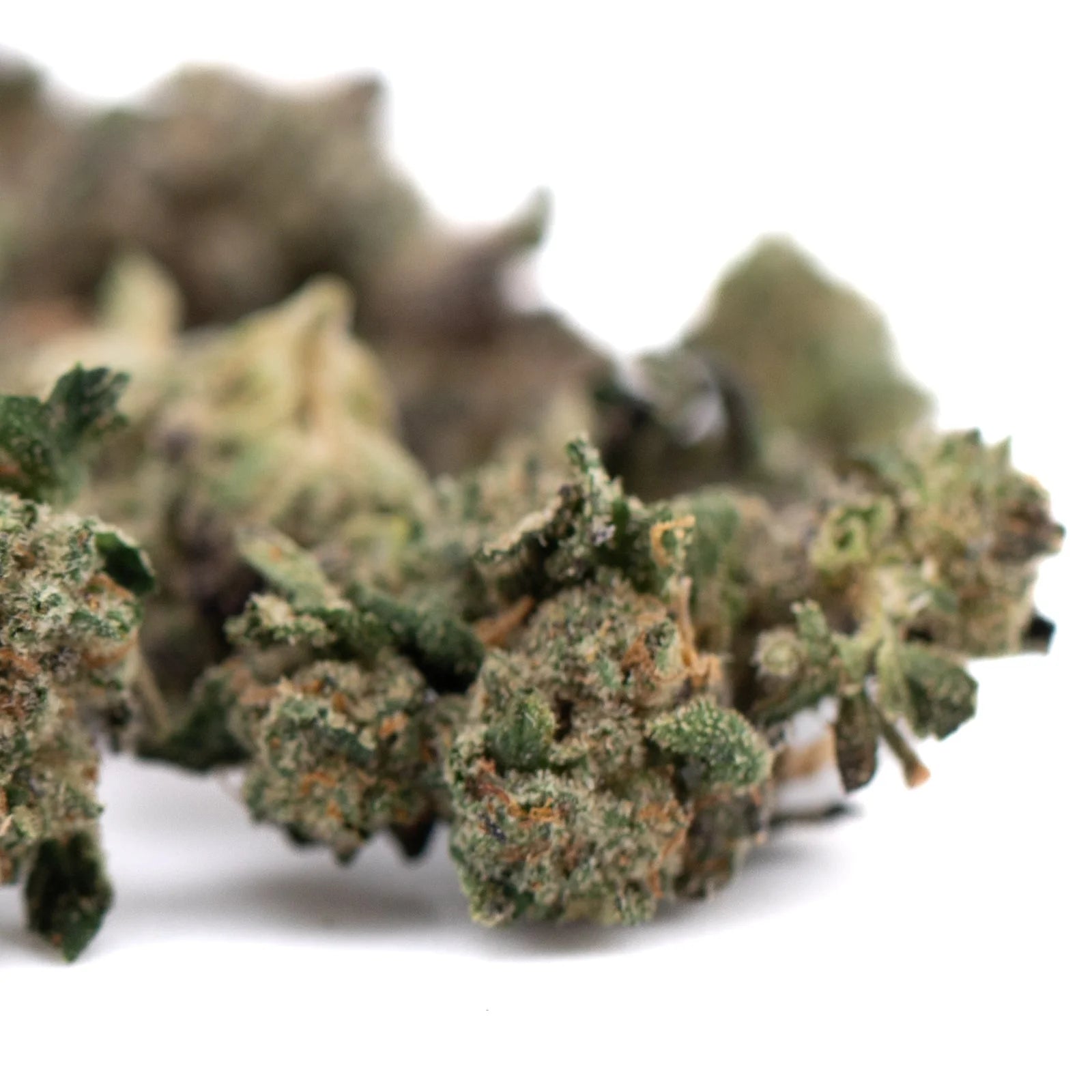 Dried Purple Wedding Cake Indoor Flower Smalls with trichomes and orange hairs