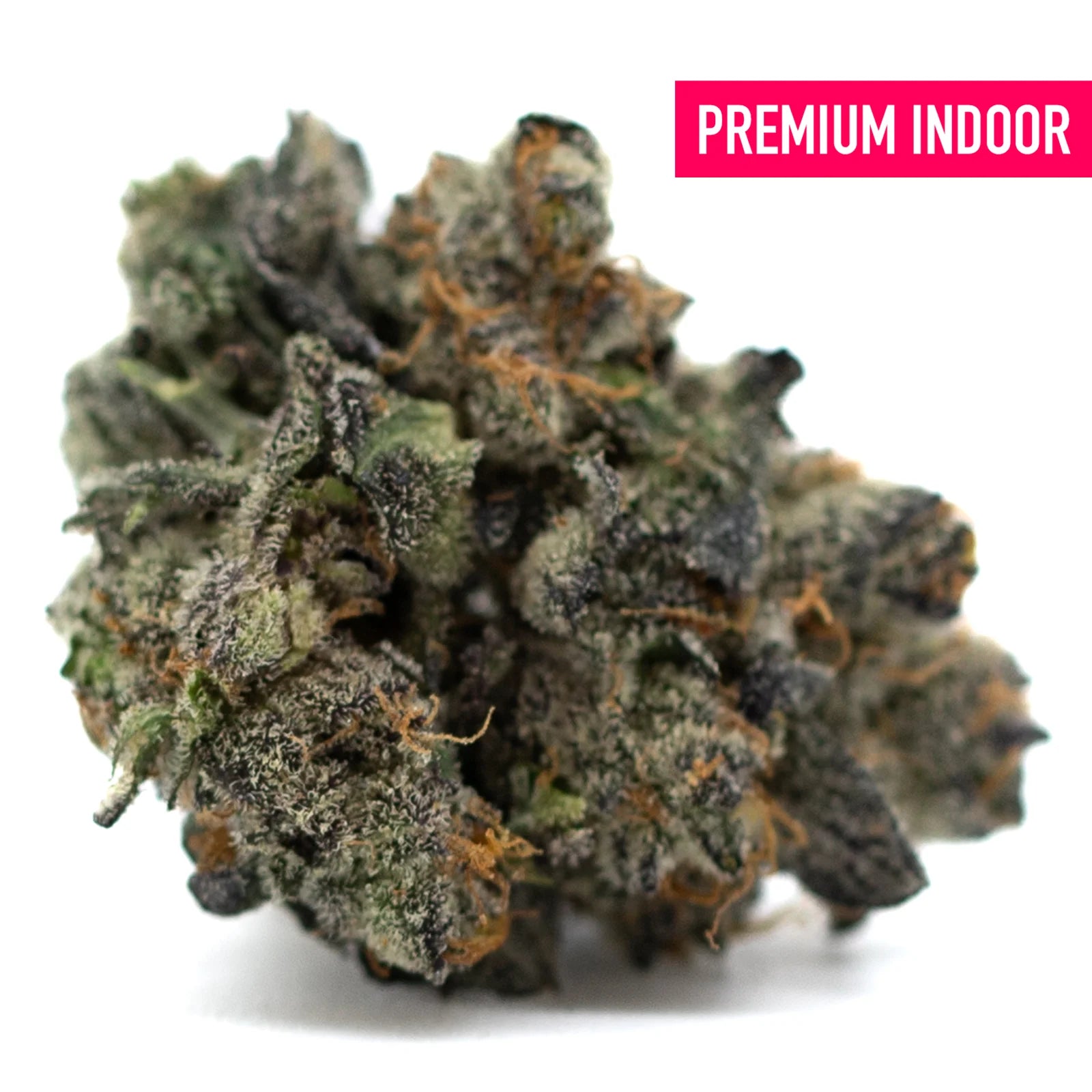 Purple Wedding Cake Indoor THCa Flower with purple hues, white trichomes, and orange pistils