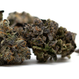 Purple Wedding Cake Indoor THCa Flower with dense trichomes and vibrant purple hues