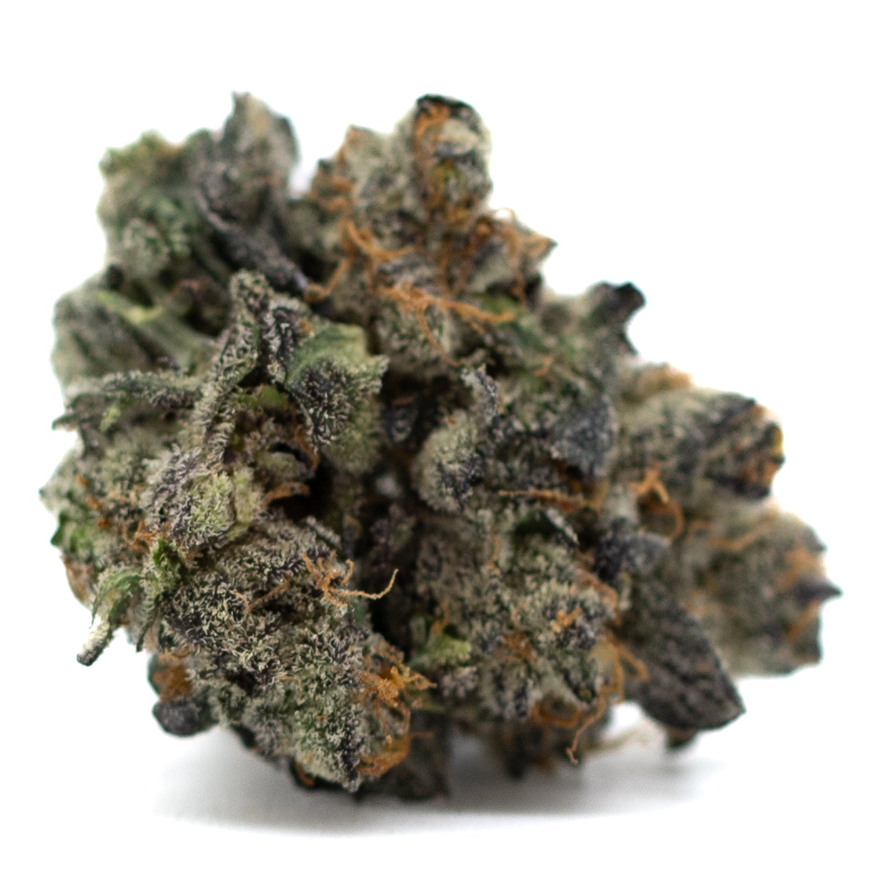 Purple Wedding Cake Indoor THCa Flower with dense trichomes and vibrant purple hues