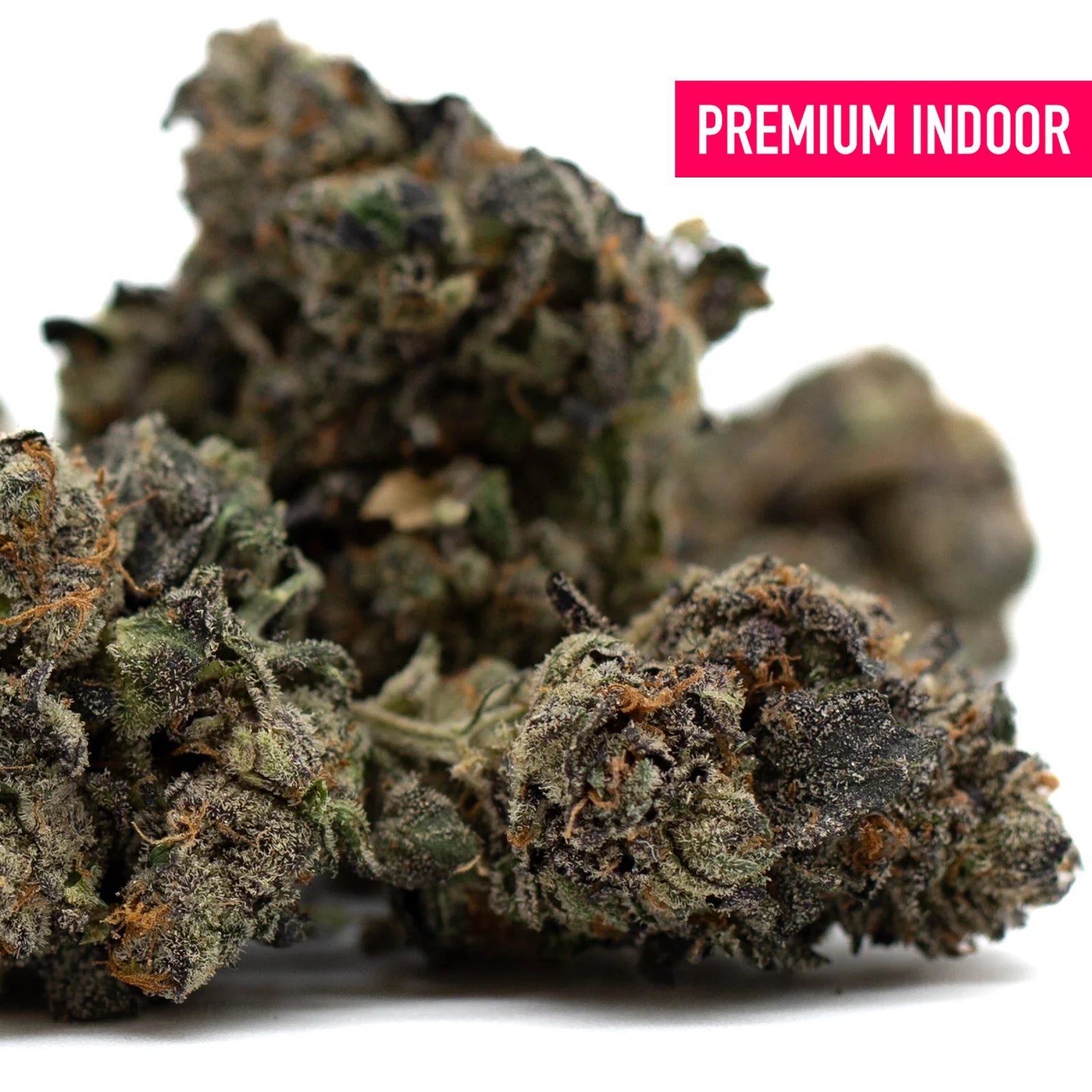 Premium indoor purple wedding cake thca flower buds with dense frosty trichomes and purple kush hues