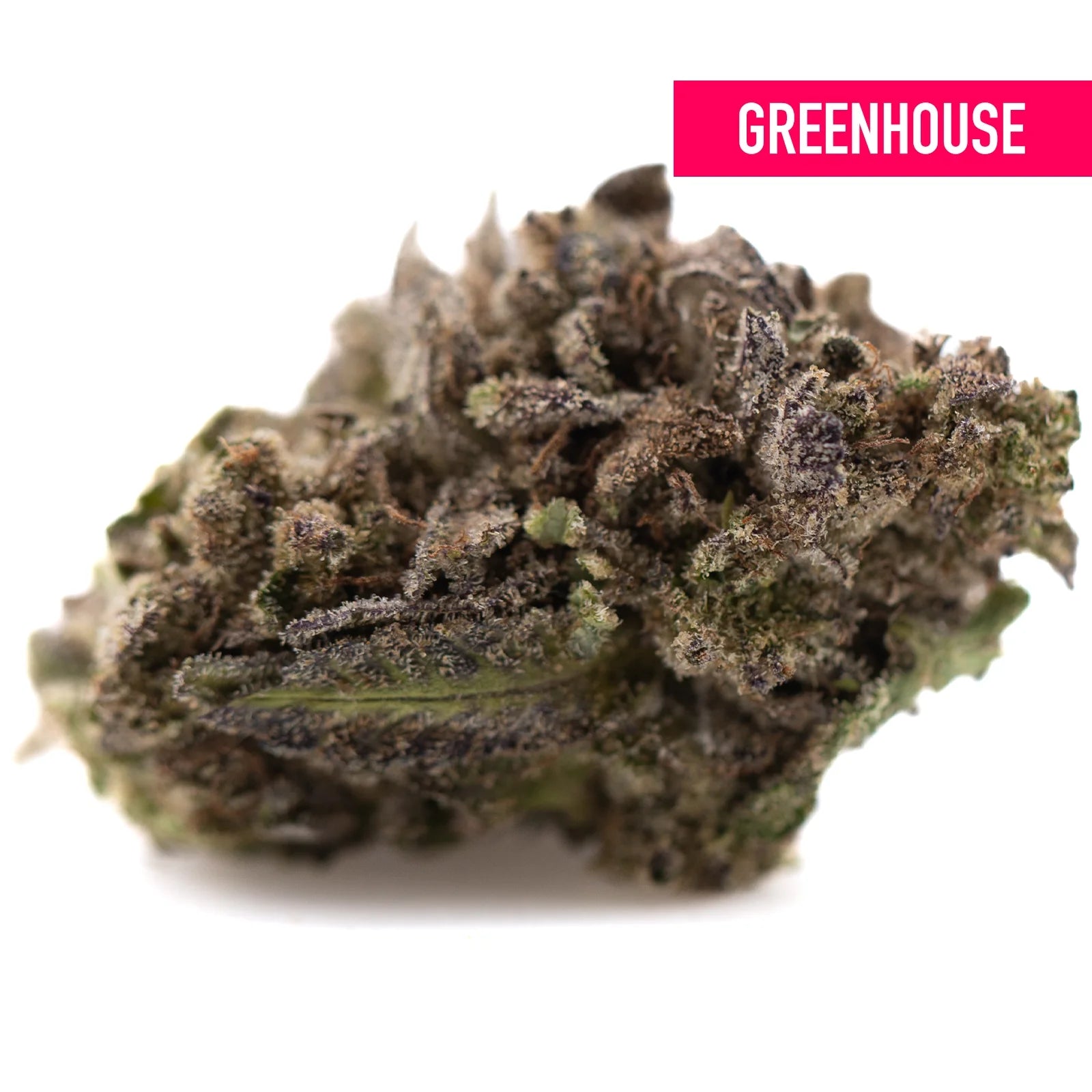 A dense purple wedding cake’s greenhouse thca flower with green and purple hues covered in resinous trichomes