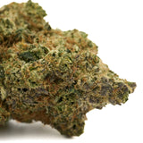 Pyromaniac Indoor THCa Flower with dense trichomes and purple orange hairs