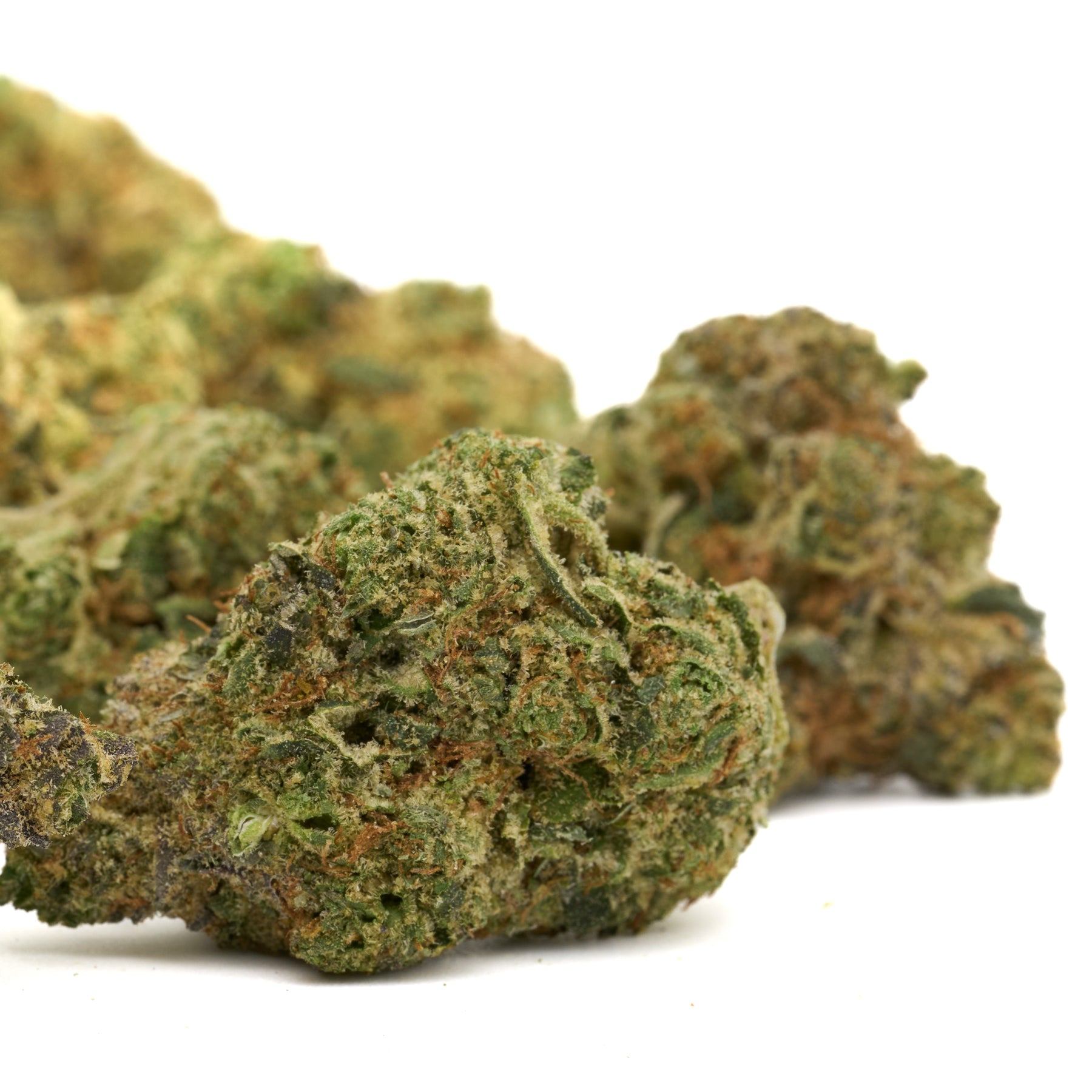 Dried light green cannabis buds with orange hairs from Pyromaniac Indoor THCa Flower