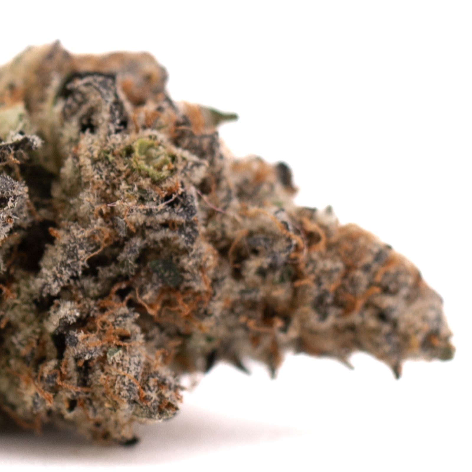 Close-up of Raspberry Runtz hemp flower with orange hairs and trichomes for space cake