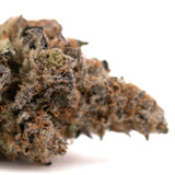 Close-up of Raspberry Runtz hemp flower with orange hairs and trichomes for space cake