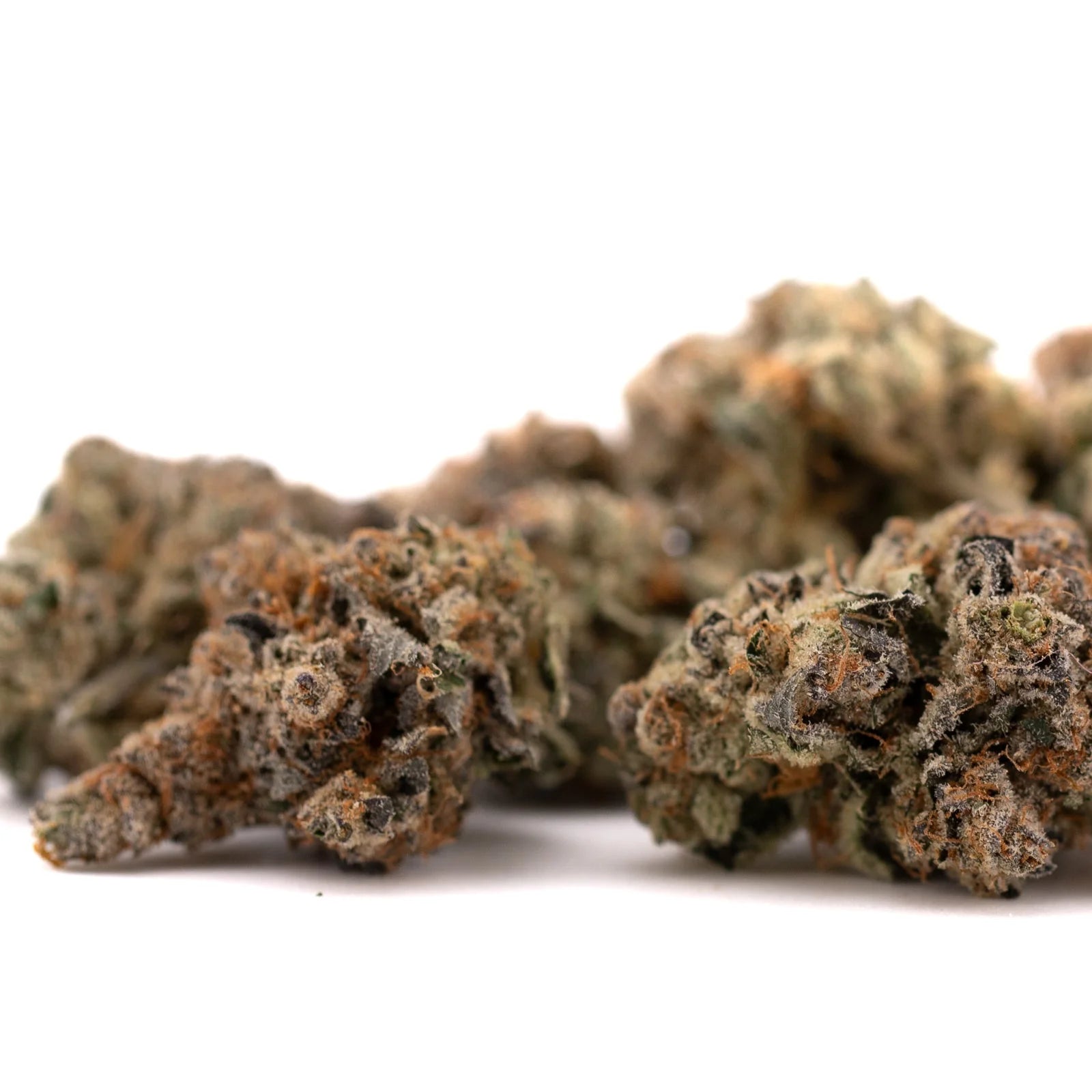 Dried Raspberry Runtz hemp flower with orange hairs and frosty trichomes for space cake